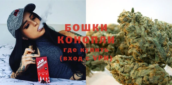 стафф Дмитриев