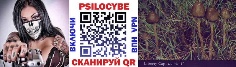 Галлюциногенные грибы прущие грибы  Сланцы 