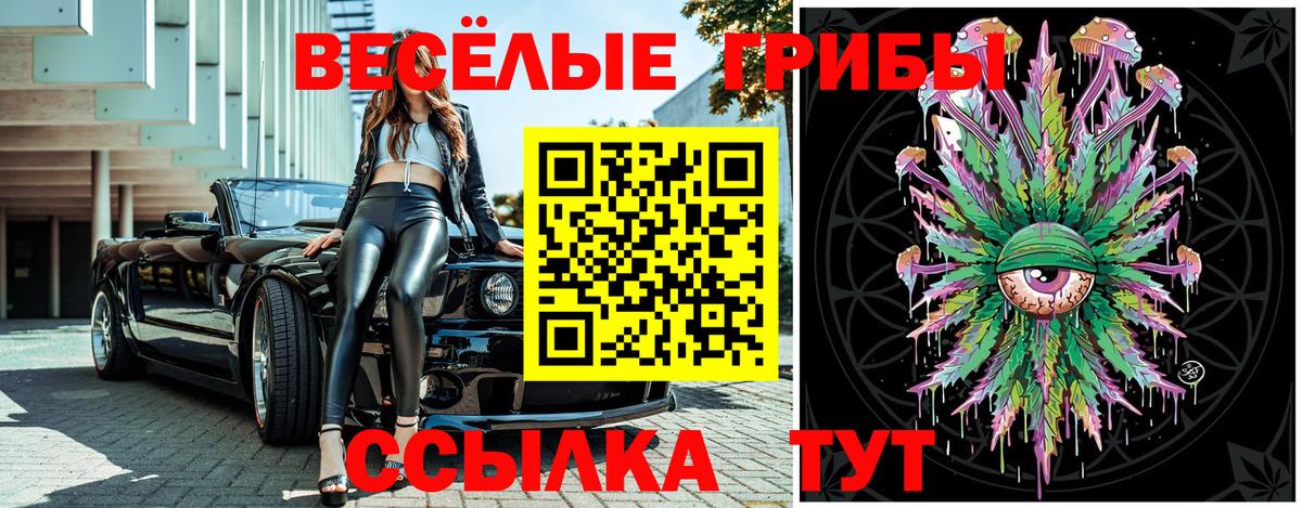 Псилоцибиновые грибы мицелий Сланцы