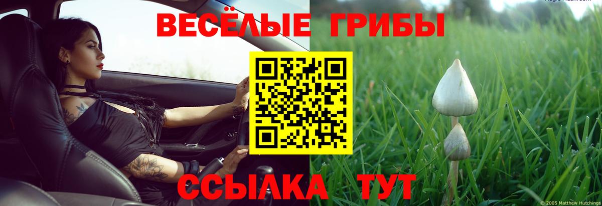 Псилоцибиновые грибы MAGIC MUSHROOMS  Вход с VPN  Сланцы 